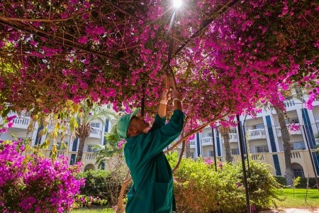 Tunisko Hammamet Medina Belisaire & Thalasso 8 dňový pobyt All Inclusive Letecky Letisko: Varšava May 2026 (14/05/26-21/05/26)