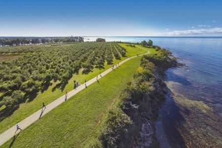 Aminess Vival Maestral - 12