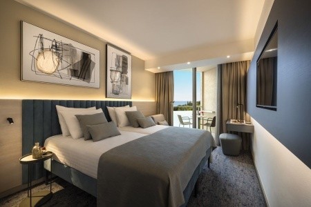 Aminess Vival Maestral - 25