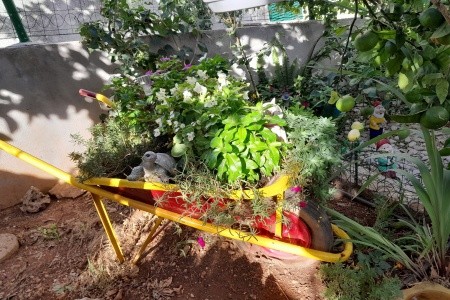 Apartmány 3298-560 - 51