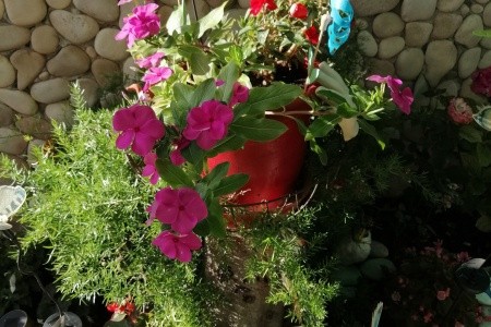 Apartmány 3298-560 - 56