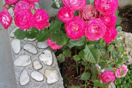 Apartmány 3298-560 - 58