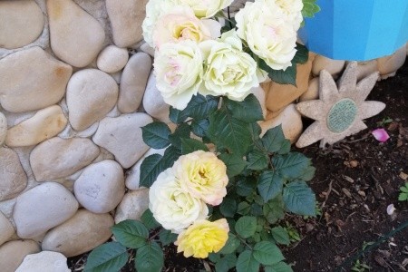 Apartmány 3298-560 - 59