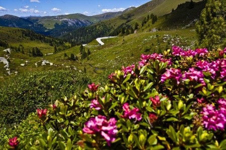 Korutany - působivá souhra hor a jezer - 14