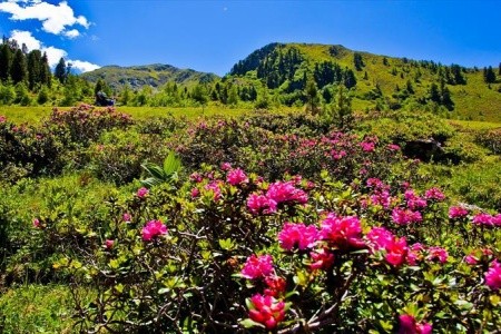 Korutany - působivá souhra hor a jezer - 15