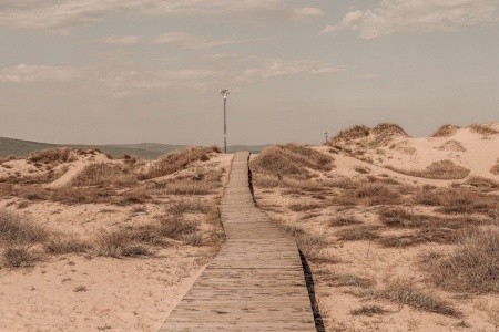 Sunny Beach Club (Ex. Cook's Club Sunny Beach) - 14