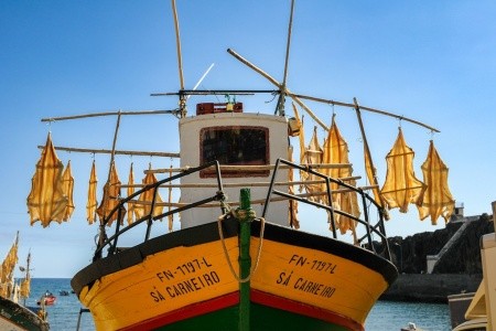 Madeira - turistika přes levády až k oceánu, odlet z Prahy - 43