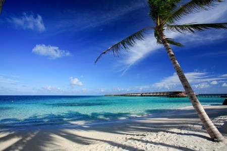 Maldivy Severný Atol Male Centara Ras Fushi Resort A Spa 15 dňový pobyt Raňajky Letecky Letisko: Praha May 2026 (28/05/26-11/06/26)