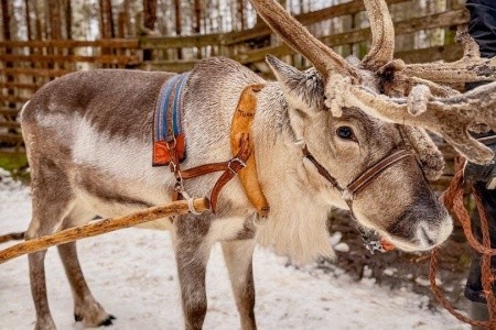 Advent v Santově vesničce - 13