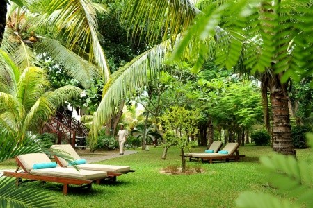 Coin De Mire Attitude - 6