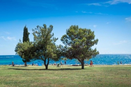 Chorvátsko Rovinj Resort Villas Rubin Rooms 6 dňový pobyt Polpenzia Vlastná August 2026 (10/08/26-15/08/26)