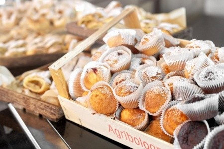 Chorvátsko Rovinj Resort Villas Rubin Apartments 4 dňový pobyt Bez stravy Vlastná June 2026 (24/06/26-27/06/26)