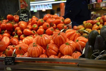 Slunná Barcelona s výletem ke klášteru Montserrat - 65