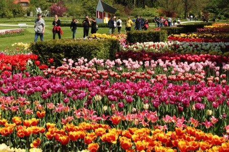 Szlovéniai körutazás (tulipánvirágzáskor is)