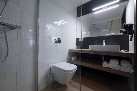 Poľsko Dolní Slezsko Brassel Aparthotel 7 dňový pobyt Raňajky Vlastná May 2026 (16/05/26-22/05/26)