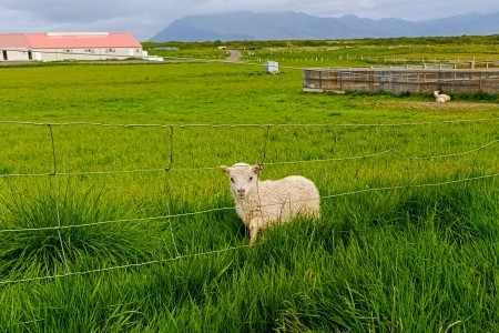 ISLANDSKÝ KALEIDOSKOP - 4