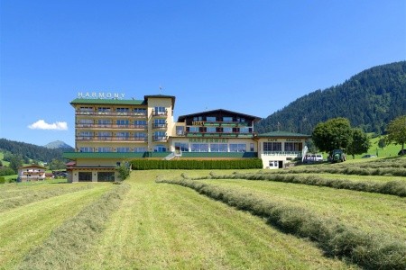 Harfenwirt (Niederau) - 10