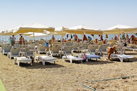 Pasha's Princess - 4