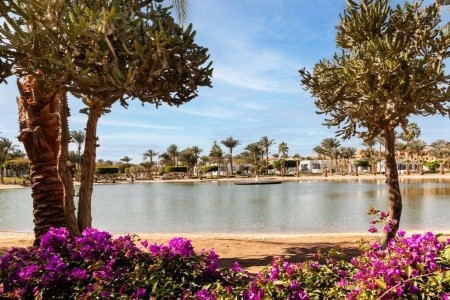 Pharaoh Azur Resort - 9