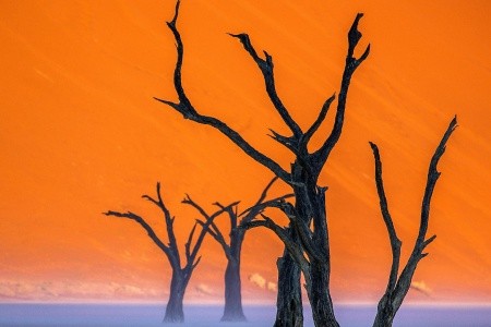 Z Victoria Falls do Kapského Mesta - 52