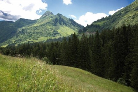 Berghotel Madlener - 12