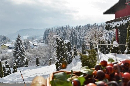 Landidyll Hotel Nudelbacher - 18