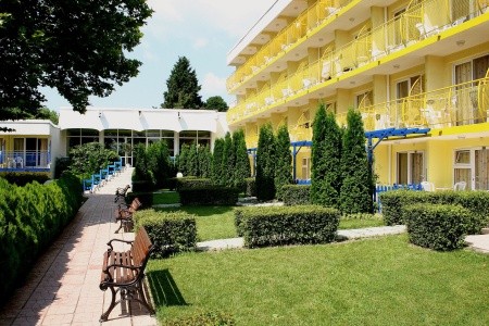 Orchidea - 5