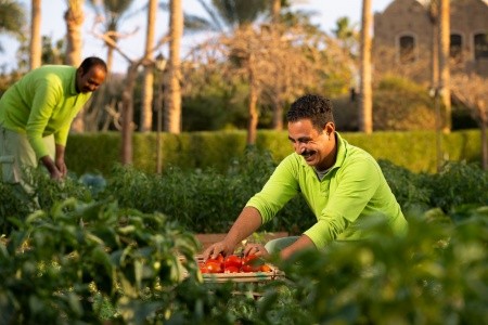 Mövenpick Resort El Quseir - 36