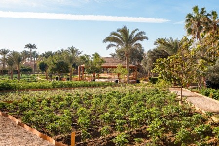 Mövenpick Resort El Quseir - 38