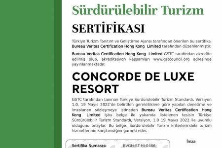 Concorde Deluxe Resort - 514