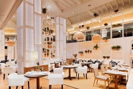 H10 Conquistador - 16