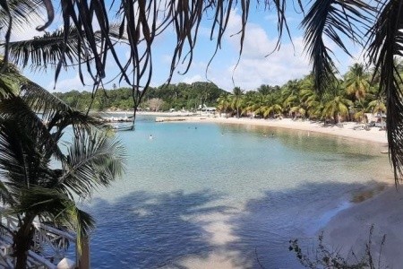 Coco Reef Resort & Spa - 5