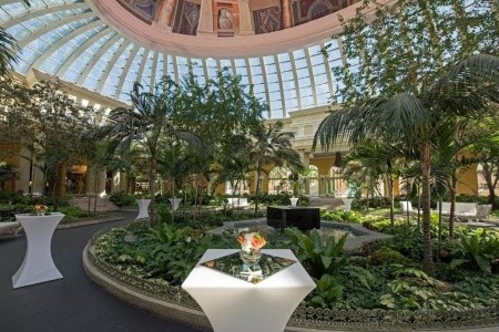 Iberostar Grand Paraiso - 6