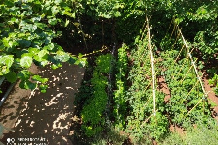 Apartmány 3298-5270 - 22