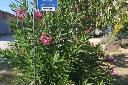 Apartmány 3298-3834 - 19