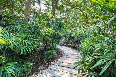 The Monttra Pattaya - 11