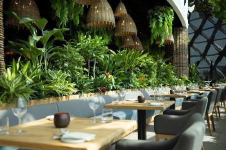 Dusit Thani Laguna Singapore - 4