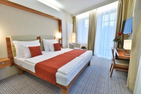 St. Joseph Royal Regent - 7