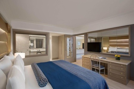 Balmy Foresta (Ex. Paloma Foresta) - 120