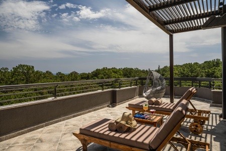 Balmy Foresta (Ex. Paloma Foresta) - 127