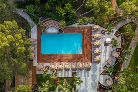 Balmy Foresta (Ex. Paloma Foresta) - 129