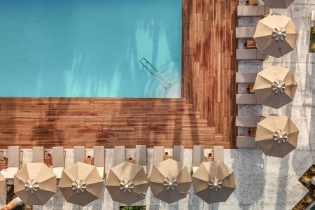 Balmy Foresta (Ex. Paloma Foresta) - 130