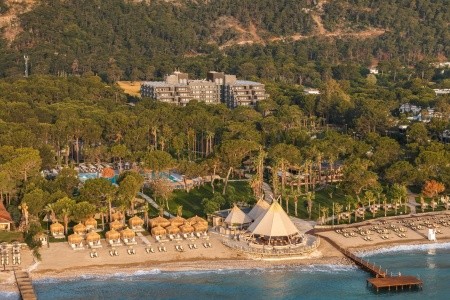 Balmy Foresta (Ex. Paloma Foresta) - 134