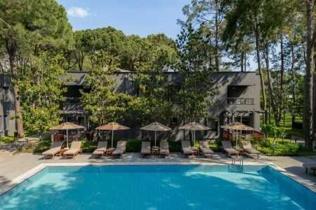 Balmy Foresta (Ex. Paloma Foresta) - 139