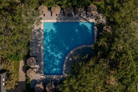 Balmy Foresta (Ex. Paloma Foresta) - 140