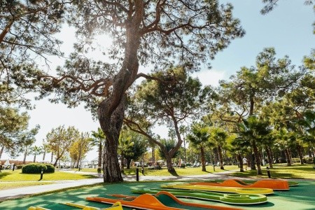 Balmy Foresta (Ex. Paloma Foresta) - 142