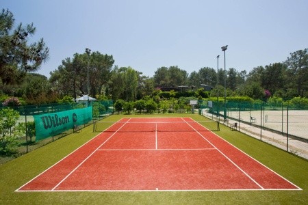 Balmy Foresta (Ex. Paloma Foresta) - 149