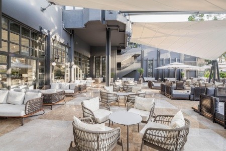 Balmy Foresta (Ex. Paloma Foresta) - 152