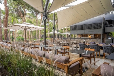 Balmy Foresta (Ex. Paloma Foresta) - 158