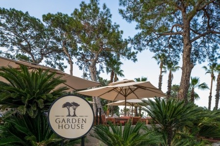 Balmy Foresta (Ex. Paloma Foresta) - 159